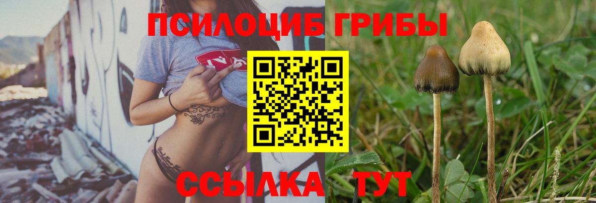 Псилоцибиновые грибы мицелий  Вход с VPN  Гусь-Хрустальный  Псилоцибиновые грибы прущие грибы 